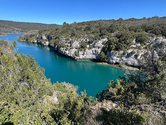 Un week-end dans les Gorges du Verdon avec son chien : notre itinéraire dog friendly