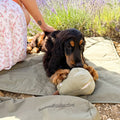 Jouet de Fouille Chien Butternut – 6 Poches