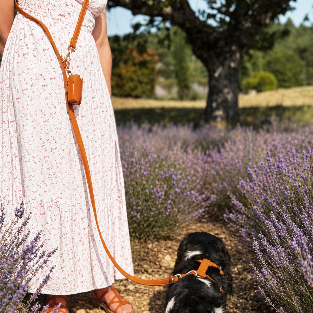 Laisse Mains Libres Chien Orange – Cuir vegan