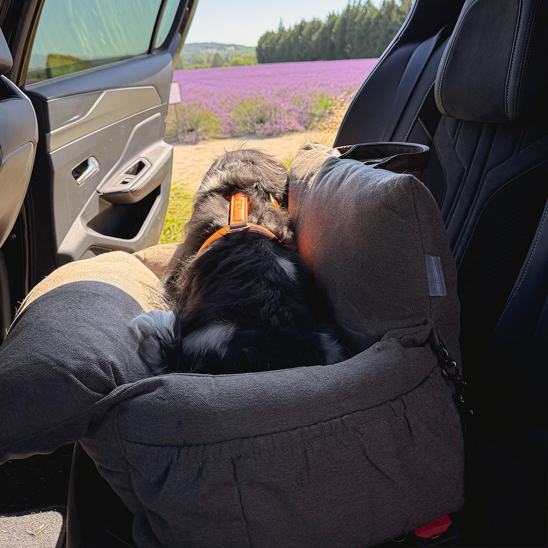 Panier Transport Chien Taupe – 3 en 1 Voiture