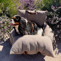 Panier Transport Chien Taupe – 3 en 1 Voiture